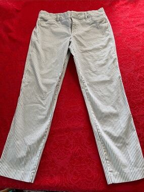 Old Navy Pixie Pants Womens 8 Blue White Stripe Ankle Stretch Skinny
